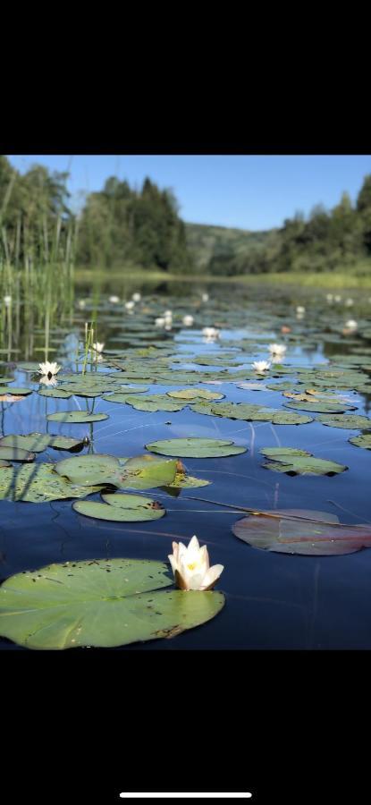 Glamping On Idyllic Lake, Paddle Boards & Rowboat Porsgrunn Εξωτερικό φωτογραφία